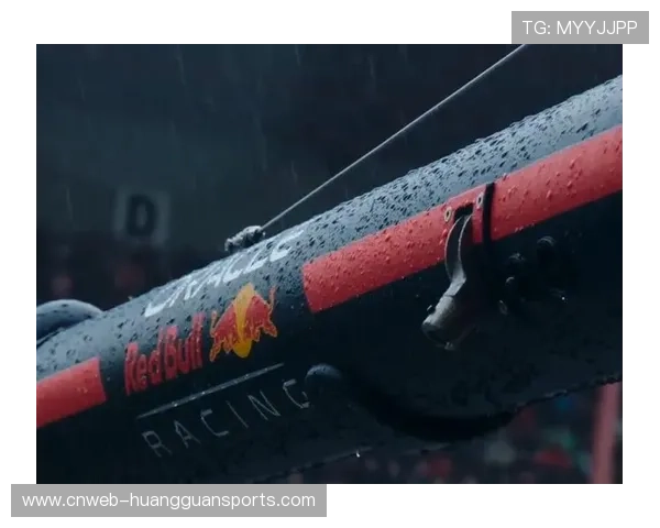 维斯塔潘的极限操控:雨战天赋与轮胎管理策略如何改写比赛走向 维斯塔潘的极限操控:雨战天赋与轮胎管理策略如何改写比赛走向